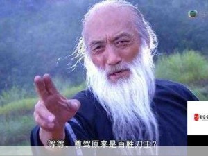 风色群英青木堂主韦小宝，资源管理核心作用与策略解析