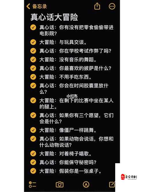 正常的大冒险1-2，挑战与智慧的双重考验