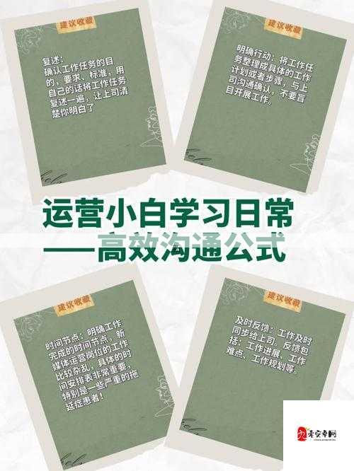 兰若情缘比武场详解，资源管理、高效利用与最大化价值