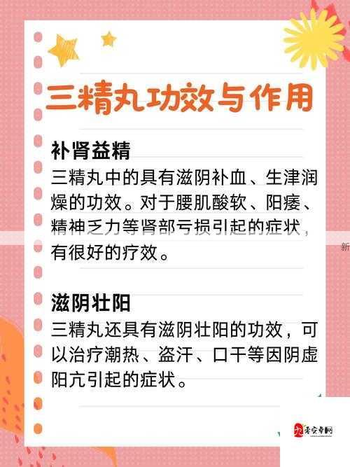 揭秘！快速提升一品大臣亲密度的独门秘籍